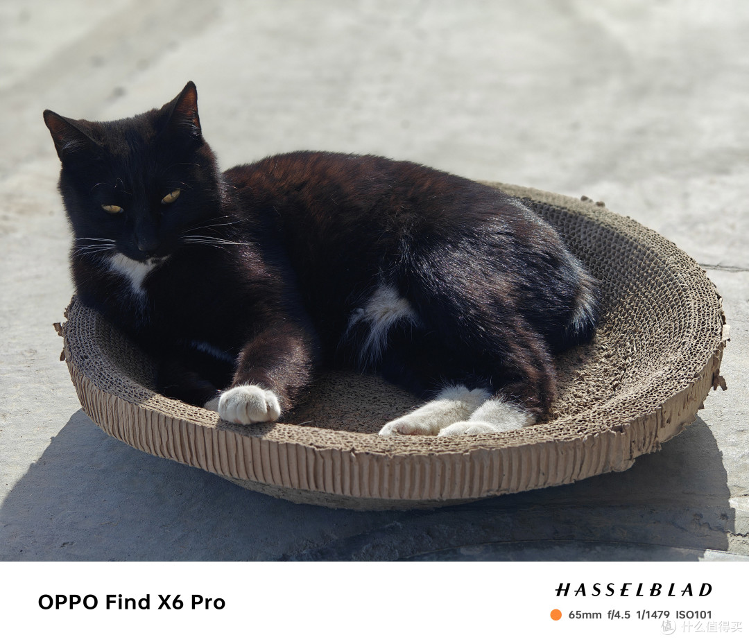 完全扔掉一英寸微单——Oppo FindX6Pro入手
