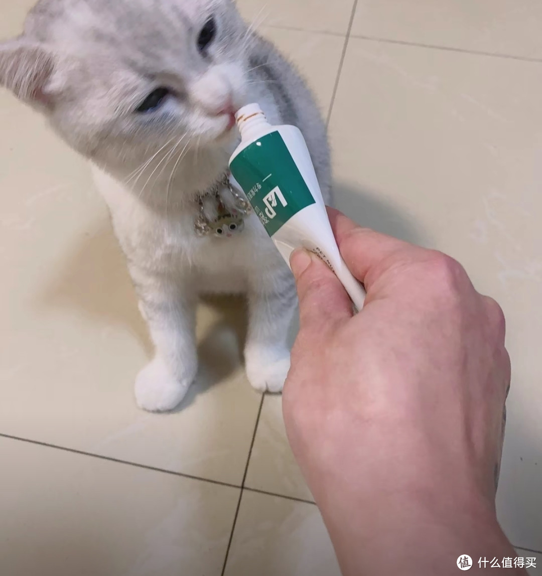 家里养小猫小狗就离不开化毛膏