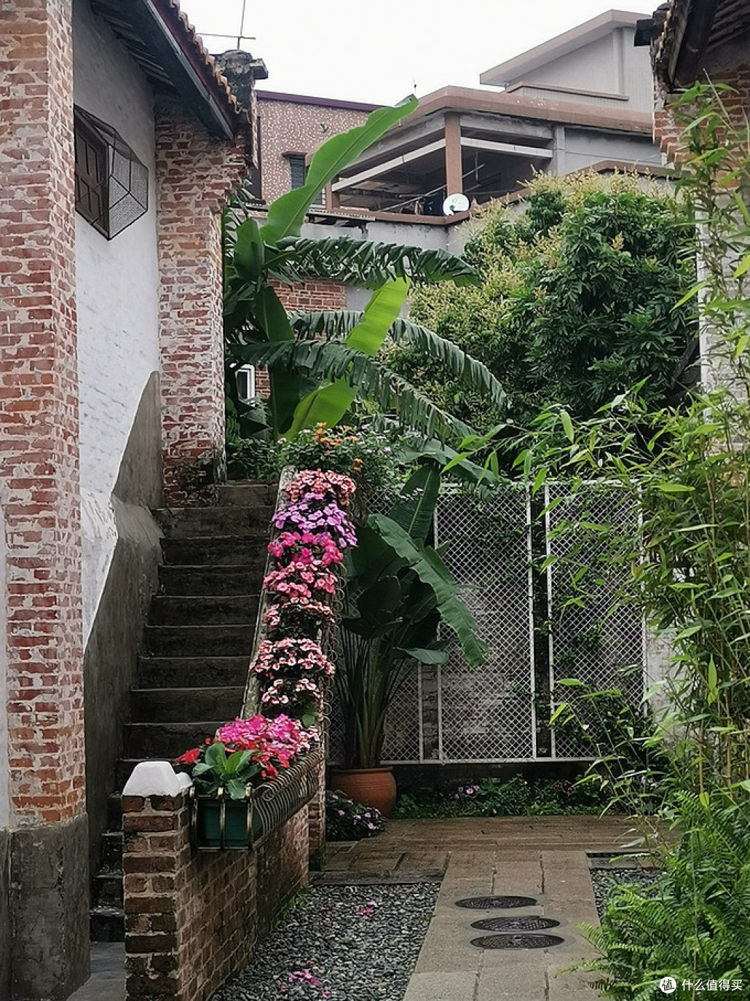 春日春色佛山游-夏漖粮园