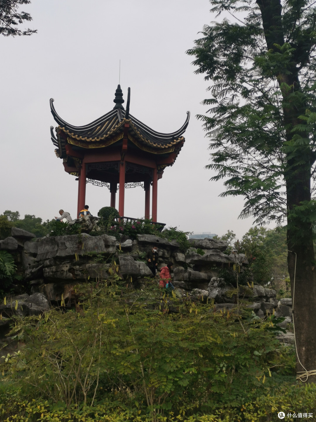 春日春色佛山游-顺峰山公园