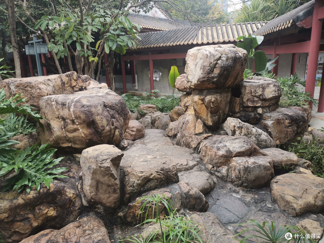 春日春色佛山游-顺峰山公园