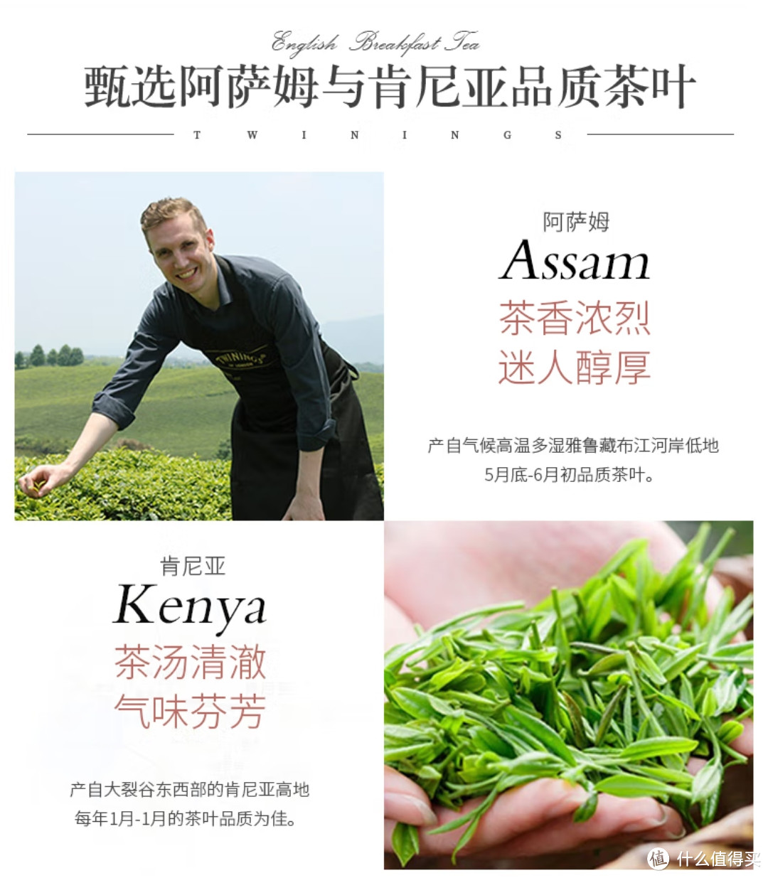 作为喝茶入门产品，袋泡茶产品简单介绍，适合收藏，看看产品在适合怎样饮用。