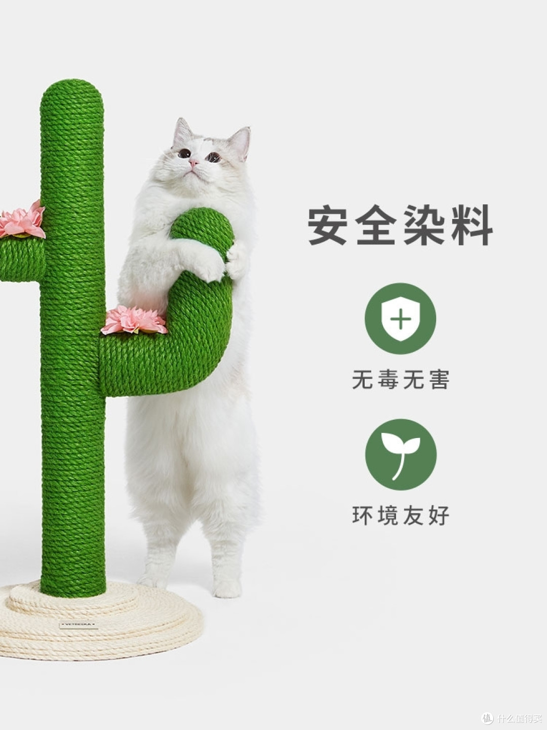 养宠星人可以考虑入手哦