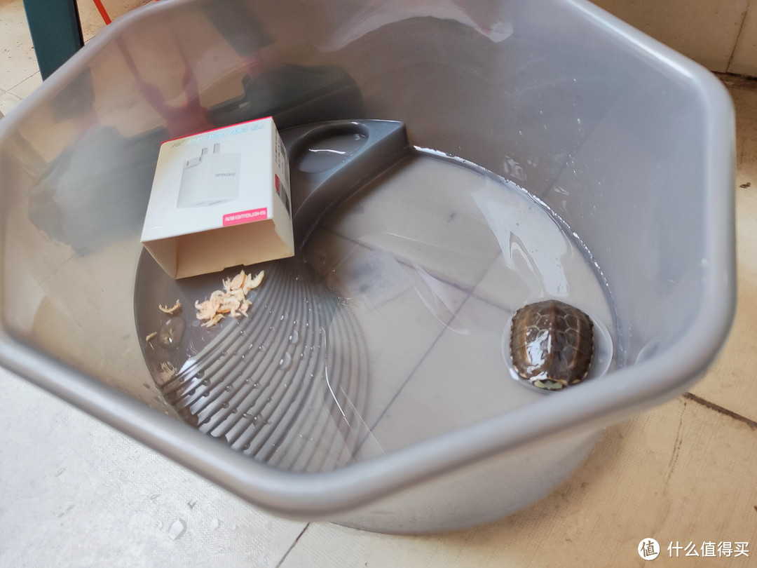 养宠必备好物-乌龟快乐缸，看它好像并不快乐！