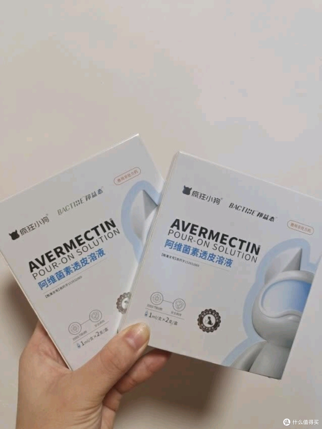 养好狗狗应该这样准备