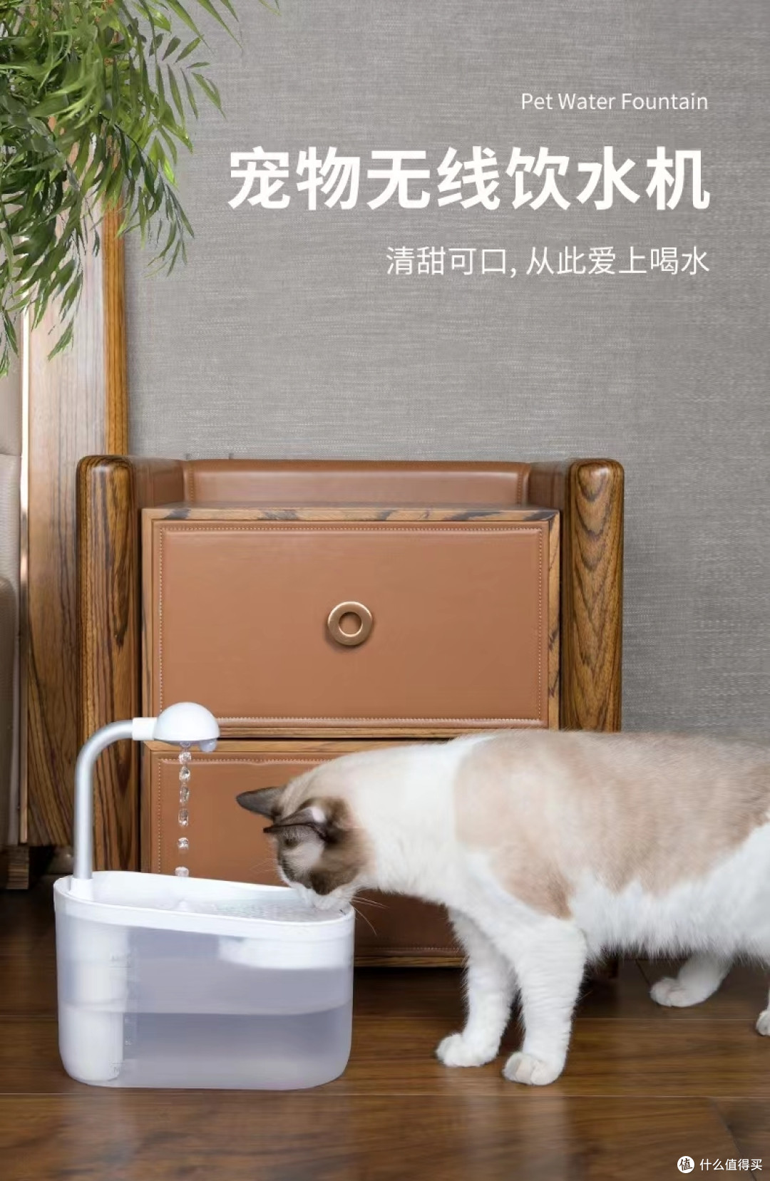 养猫家庭必备的两款好物