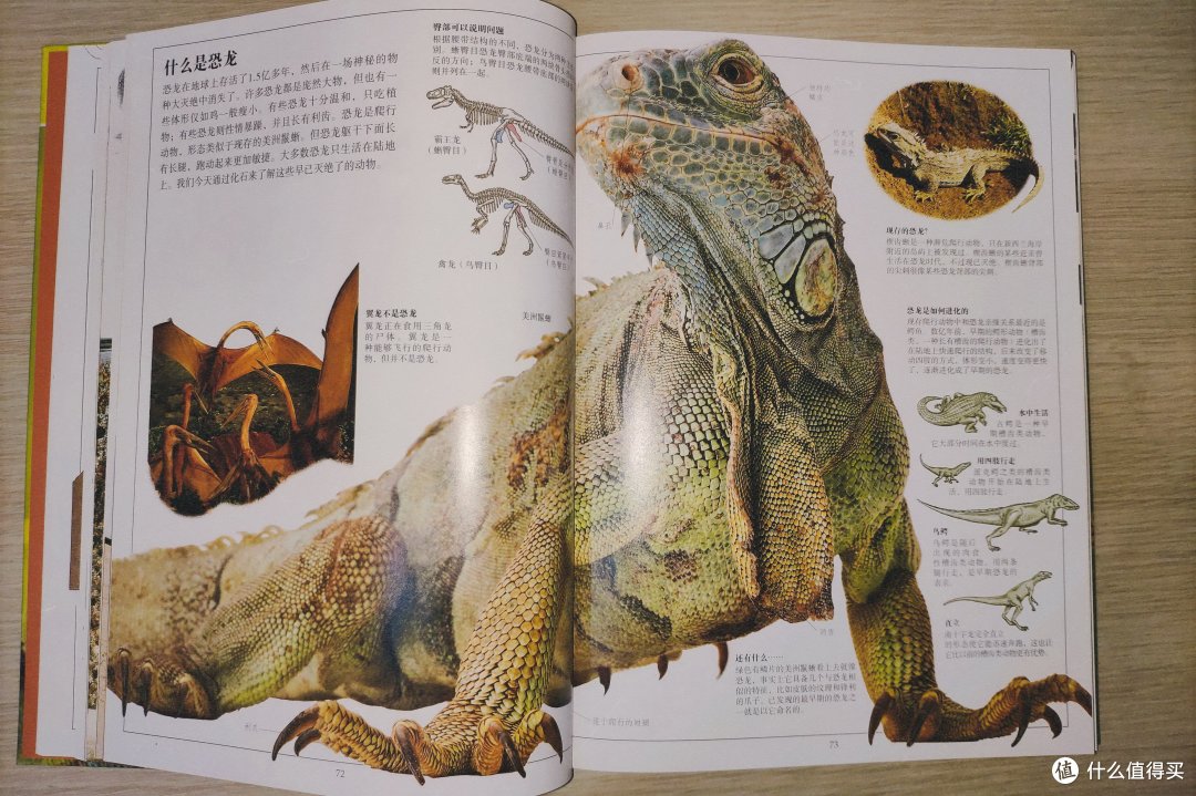 形象生动的生物学参考书——《DK生物大百科》