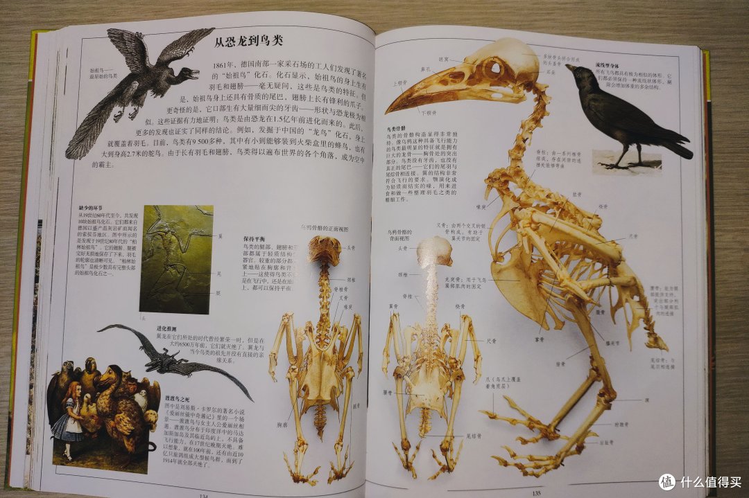 形象生动的生物学参考书——《DK生物大百科》
