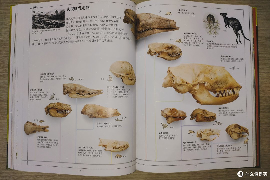 形象生动的生物学参考书——《DK生物大百科》
