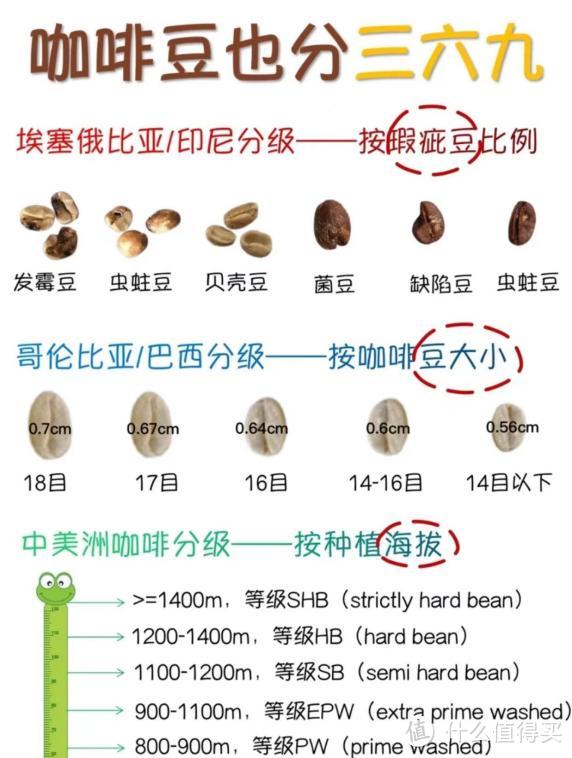 喝咖啡也有鄙视链???