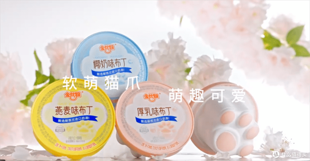 我的春季零食专宠——金丝猴布丁