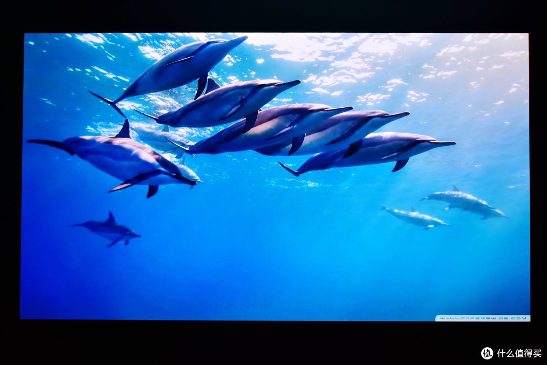 不玩虚的!Vidda C1S三色激光投影仪,专业级画质,更亮更舒适