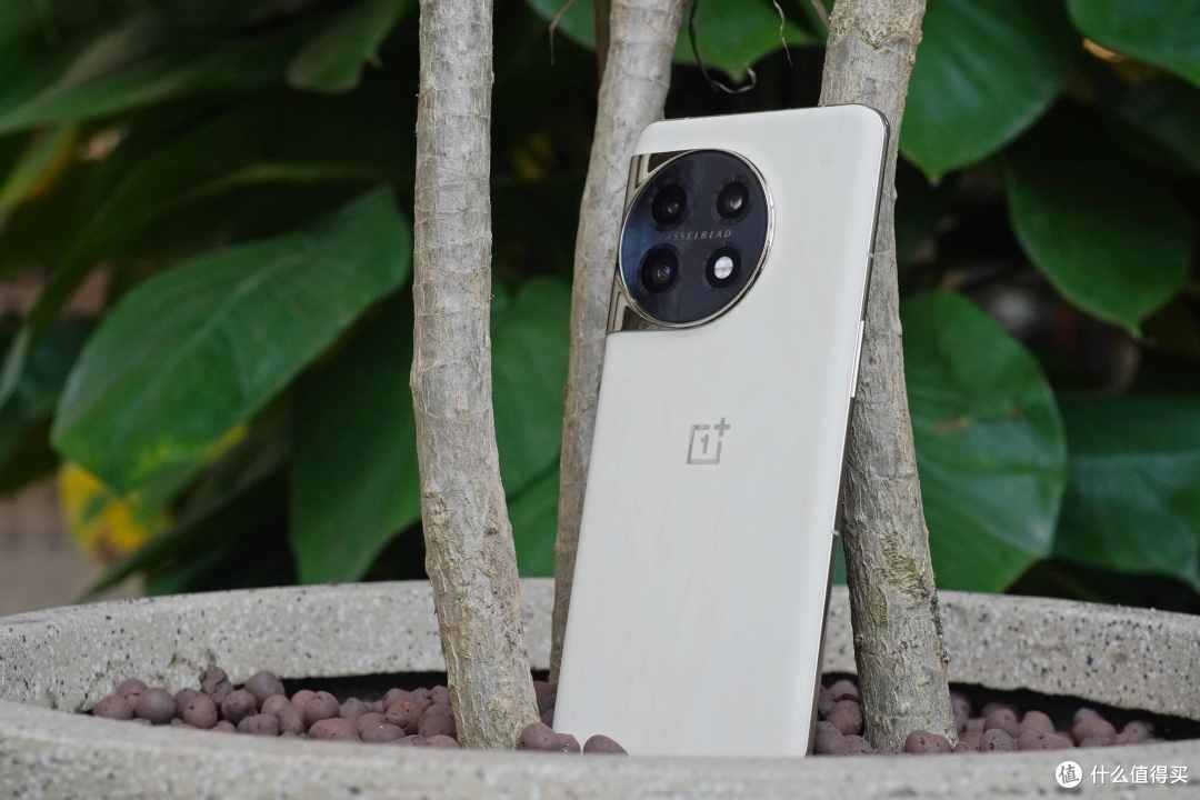 你印象最深刻的手机后盖材质是什么?一加11木星岩限定版初体验