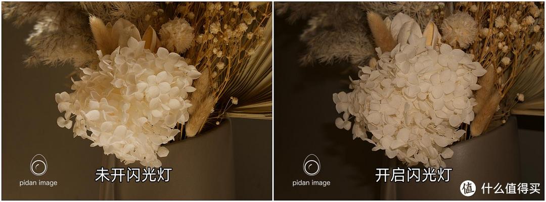 室内拍花时使用相机自带闪光灯的效果对比（直出，后期仅调整白平衡）
