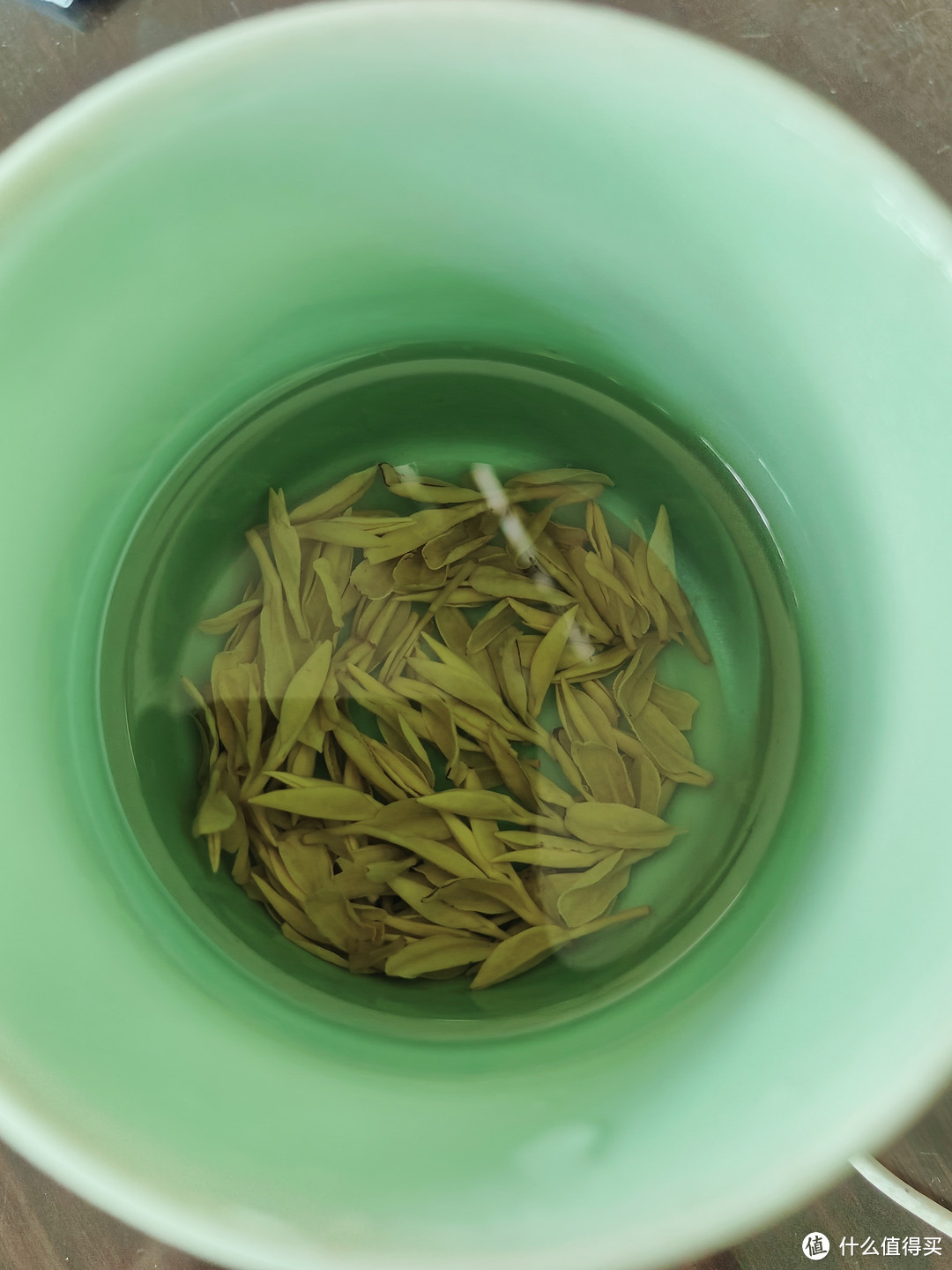 又到了外物复苏的季节，茶茶水水泡起来