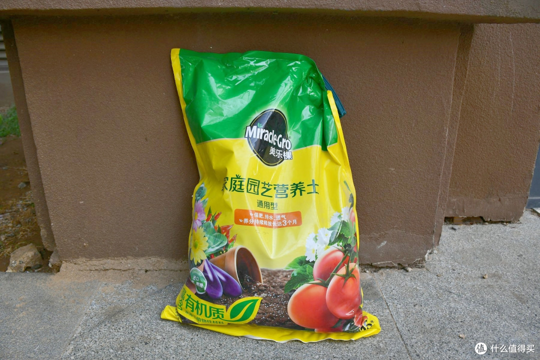 家庭绿植养护,这些东西少不了