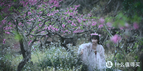 时隔一年,重看“李子柒”庭院,才发现那个“人间仙境”并不真实