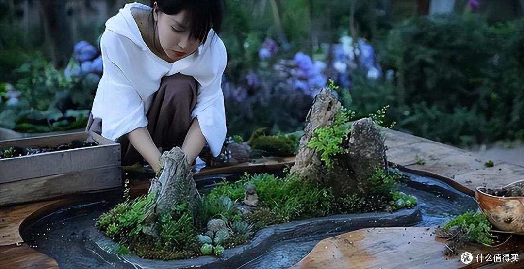 时隔一年,重看"李子柒"庭院,才发现那个"人间仙境"并不真实