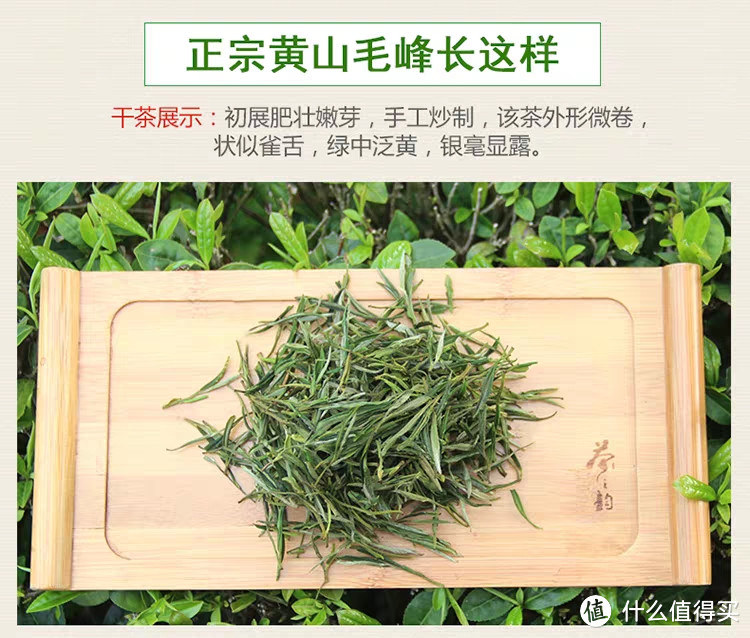 你喜欢喝哪种绿茶呢？