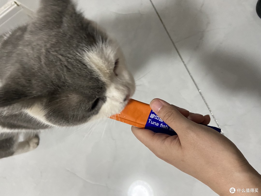养猫家庭必备三件套:猫粮、猫条、猫罐头