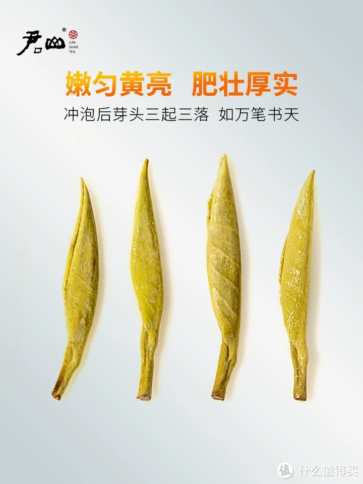 中国十大名茶是哪些？一起来学习。