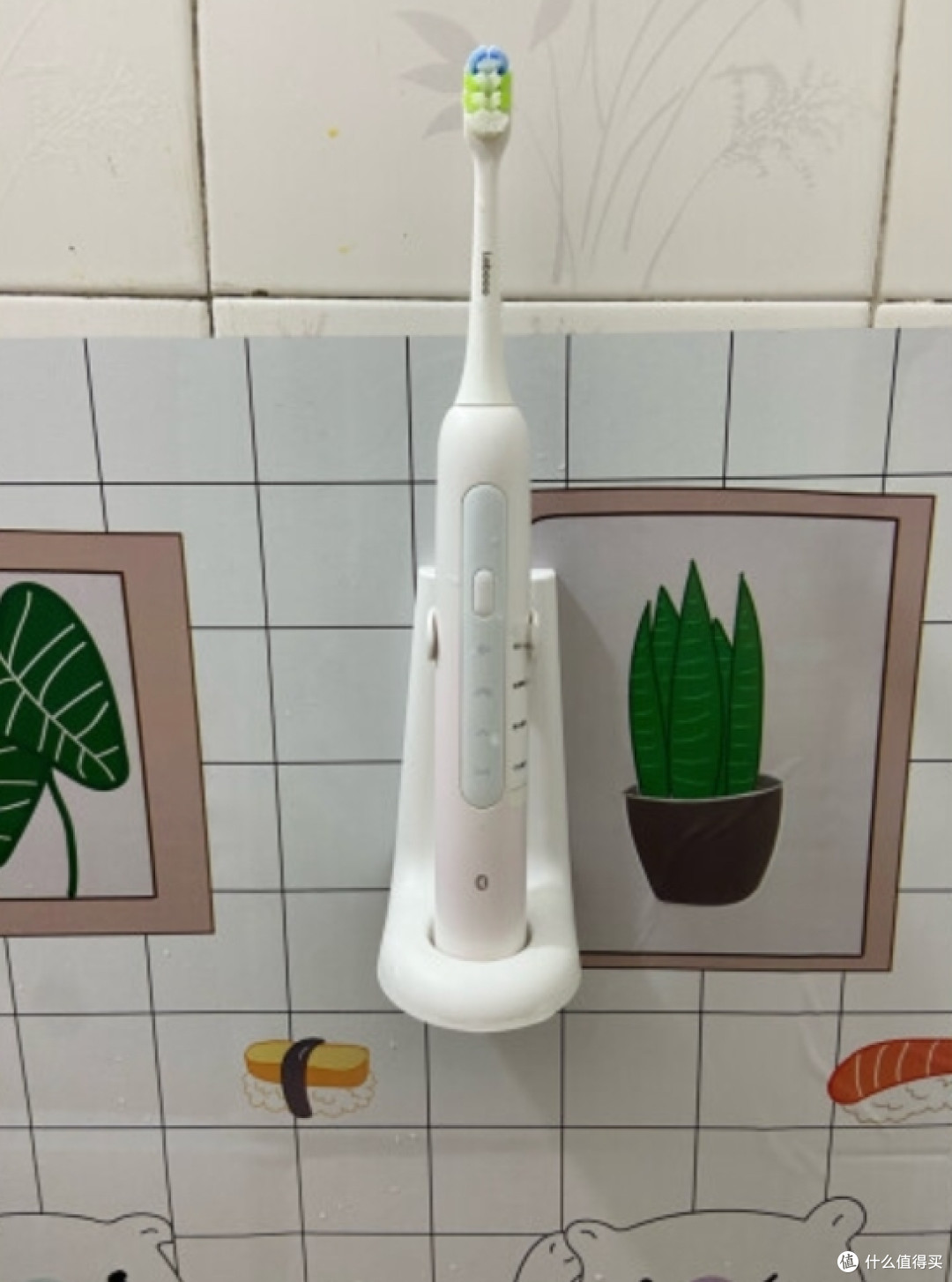 分享我的牙齿维护神器