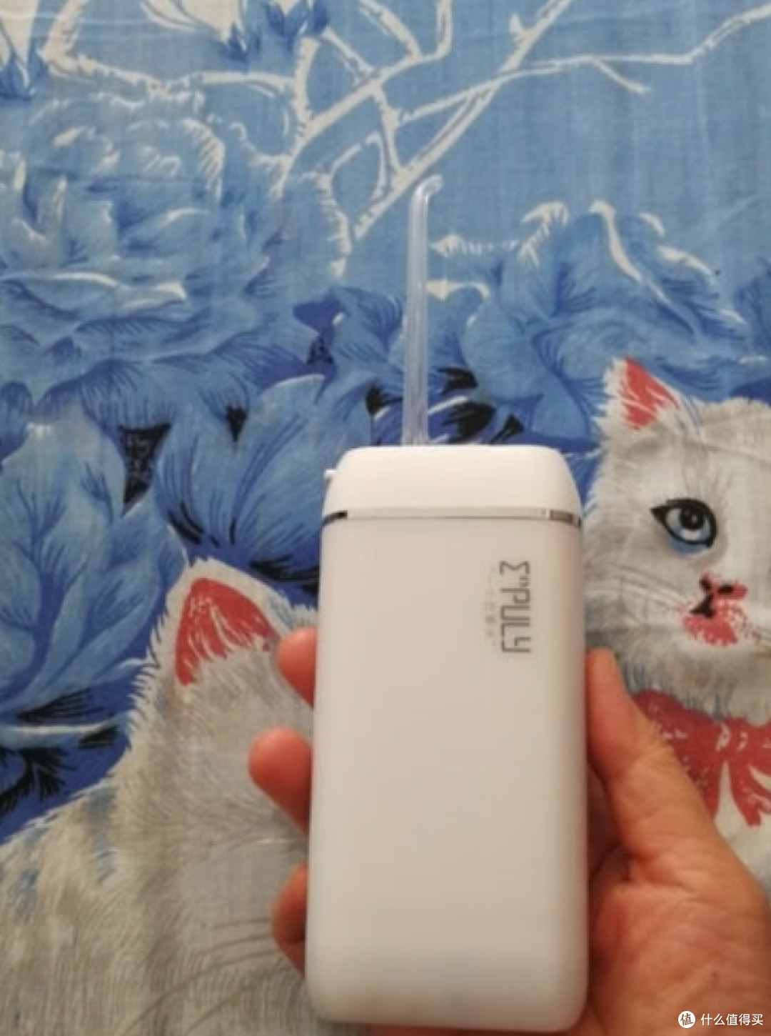 男性必备!电动牙刷和冲牙器的优点