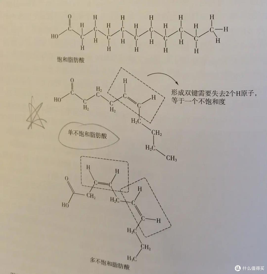 为什么中式糕点要用猪油起酥?一文告诉你酥点起酥的原理