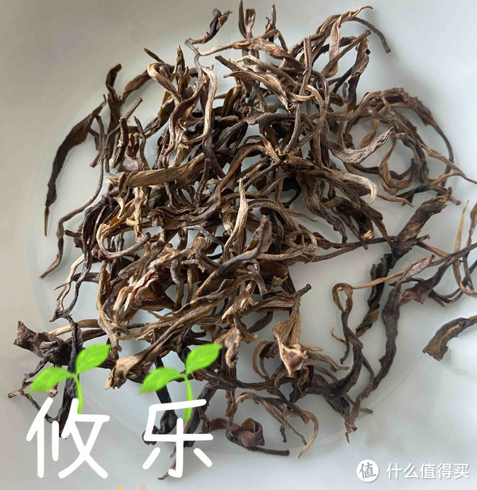 从曾经的皇家贡茶，经历过没落，如今依然江湖地位显著的“古六大茶山”。