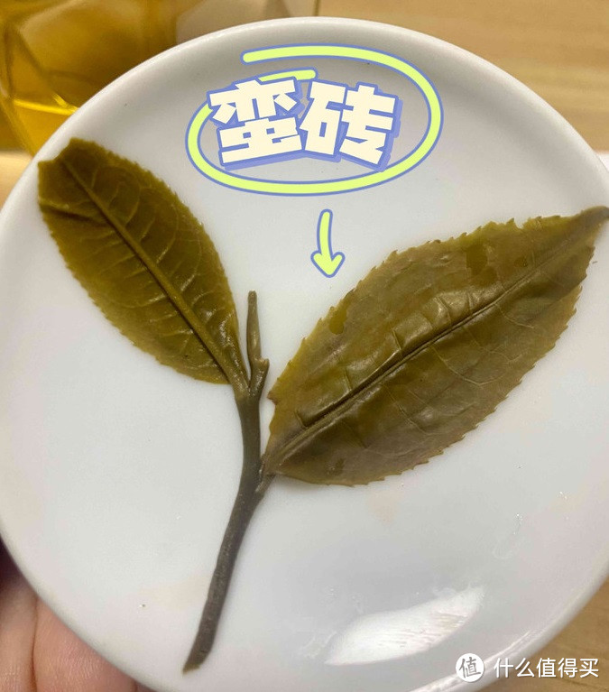 从曾经的皇家贡茶，经历过没落，如今依然江湖地位显著的“古六大茶山”。