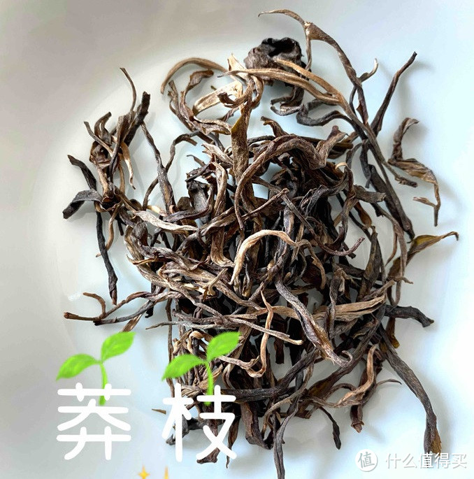 从曾经的皇家贡茶，经历过没落，如今依然江湖地位显著的“古六大茶山”。