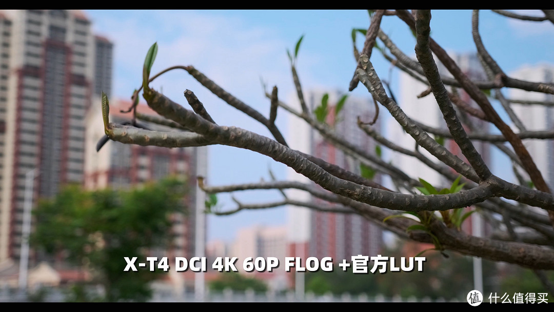 三年前最强的相机?富士X-t4使用体验