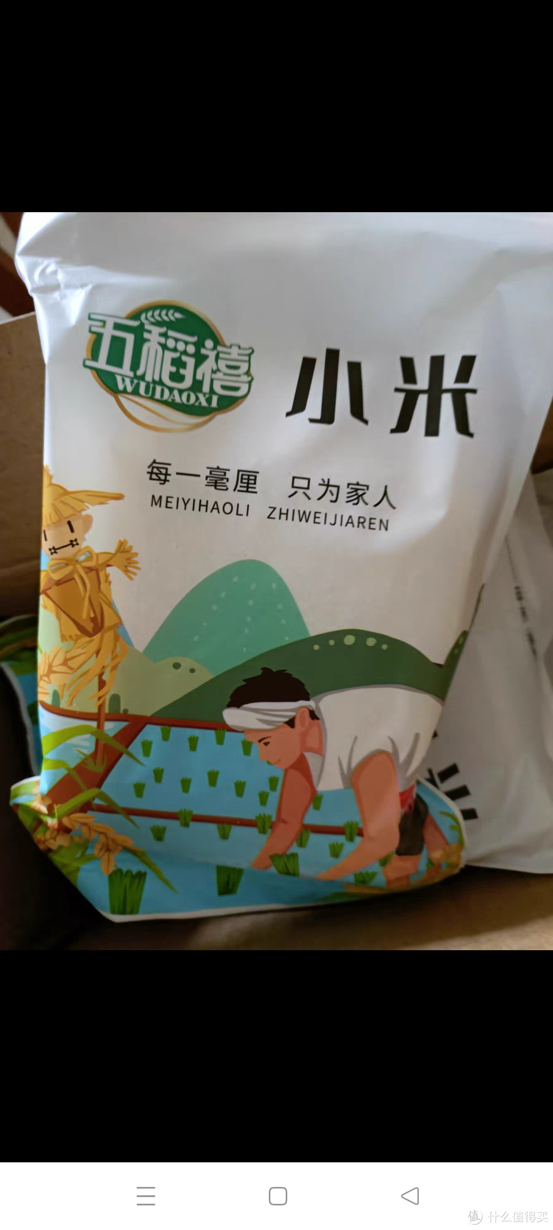 山西晋中黄小米黄米粥脱壳适用粘糯食用新米农家五谷杂粮粗粮500g山西晋中黄小米黄米粥脱壳适用粘糯食用