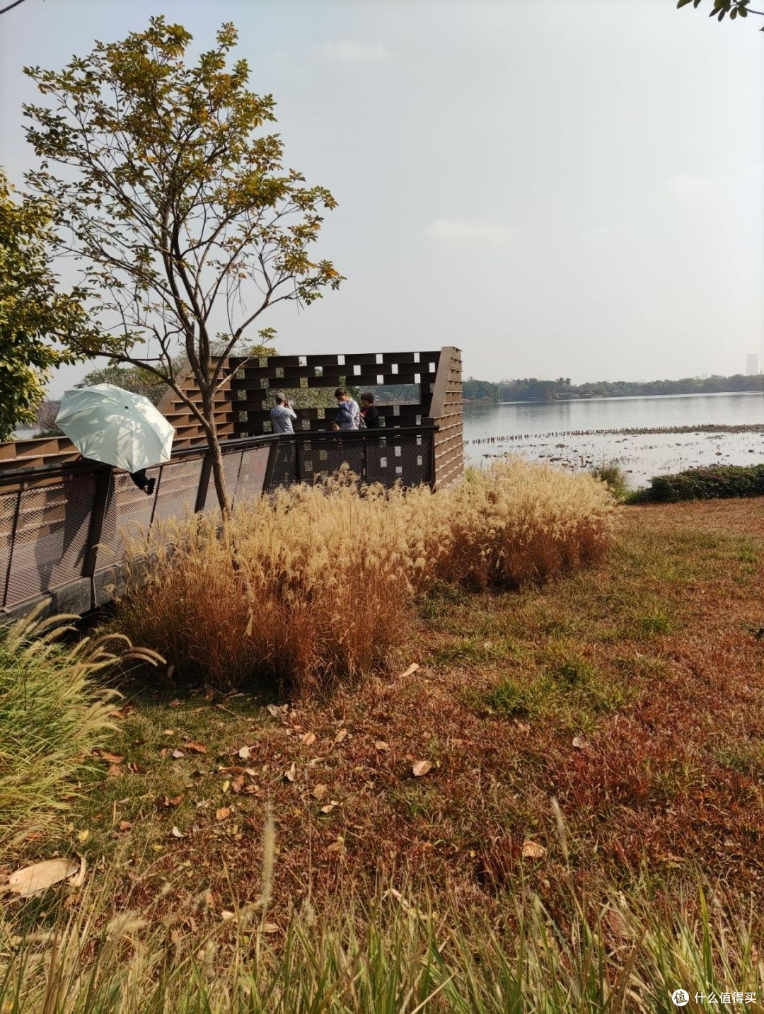 春日旅游计划之海珠湖一日游