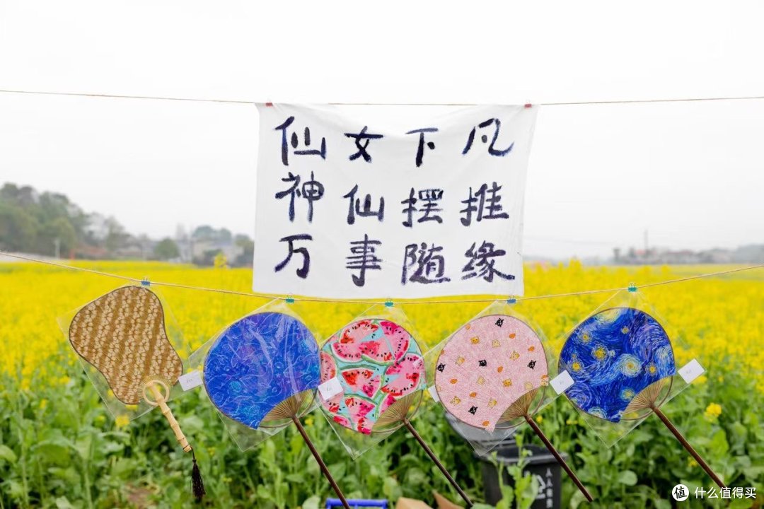 奔赴春天——把周末交给宁乡陈家桥,油菜花田美食文化节