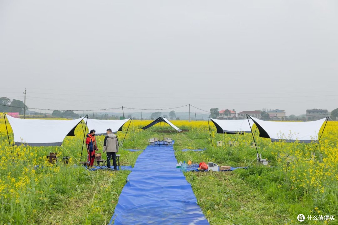 奔赴春天——把周末交给宁乡陈家桥,油菜花田美食文化节