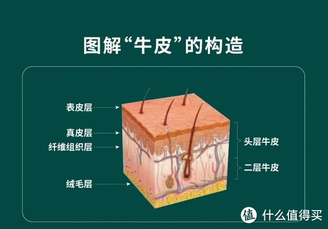 牛皮构造