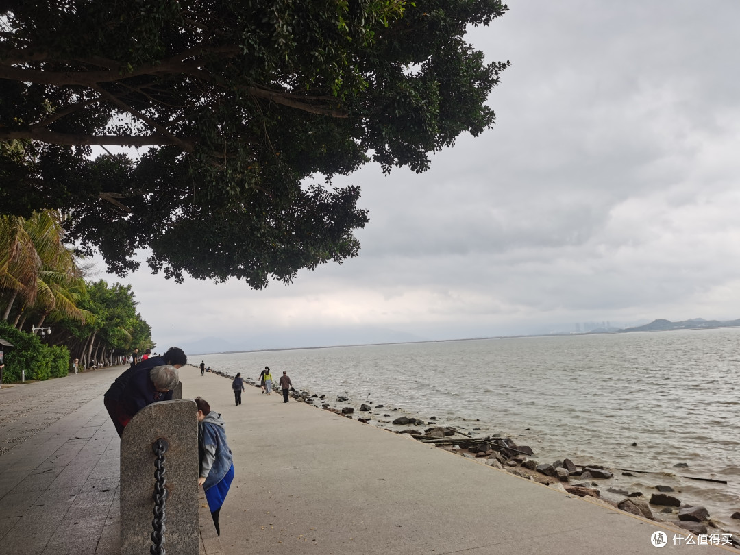 深圳湾—深圳人才公园骑行