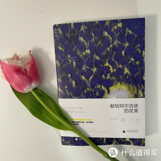 《献给阿尔吉侬的花束》，读到停不下来的神级软科幻，篇幅不长但劲很大😌