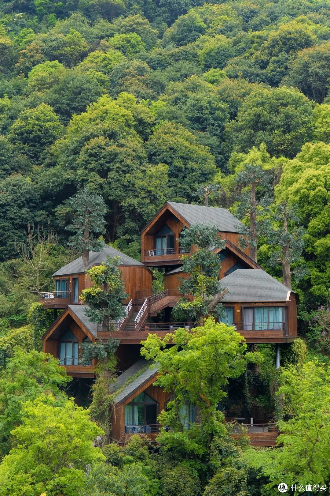 杭州开元森泊度假酒店明星们都来打过卡了