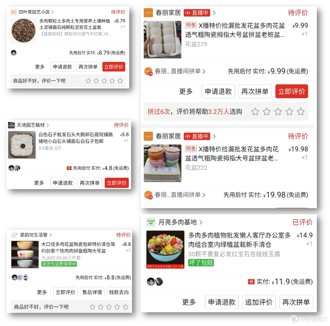 自己买过的盆、土、肉