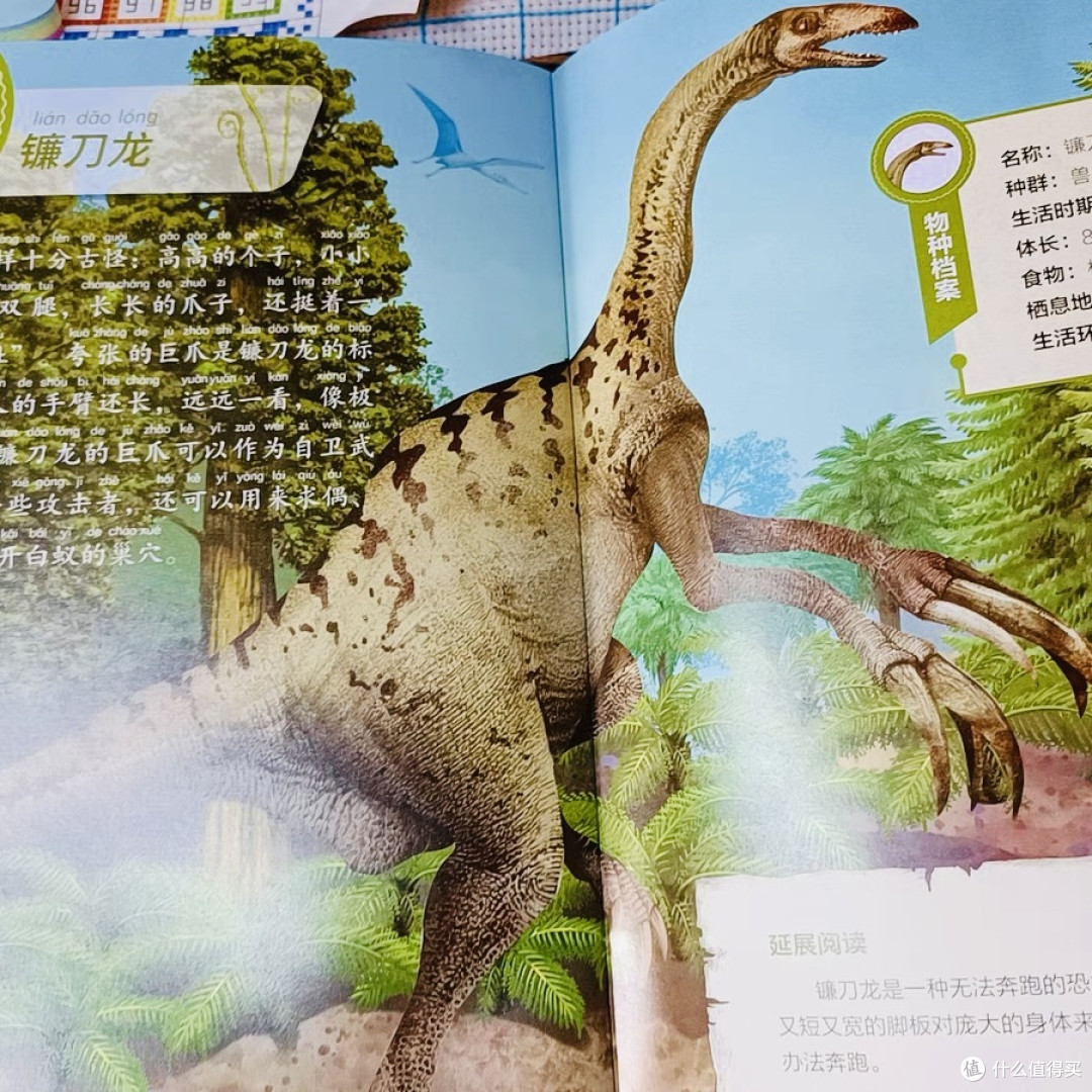 小男孩是不是都喜欢看恐龙绘本