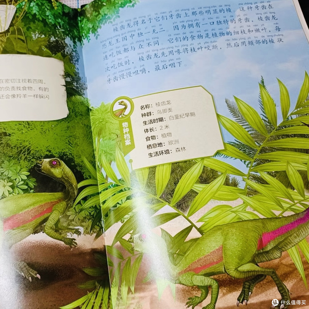 小男孩是不是都喜欢看恐龙绘本