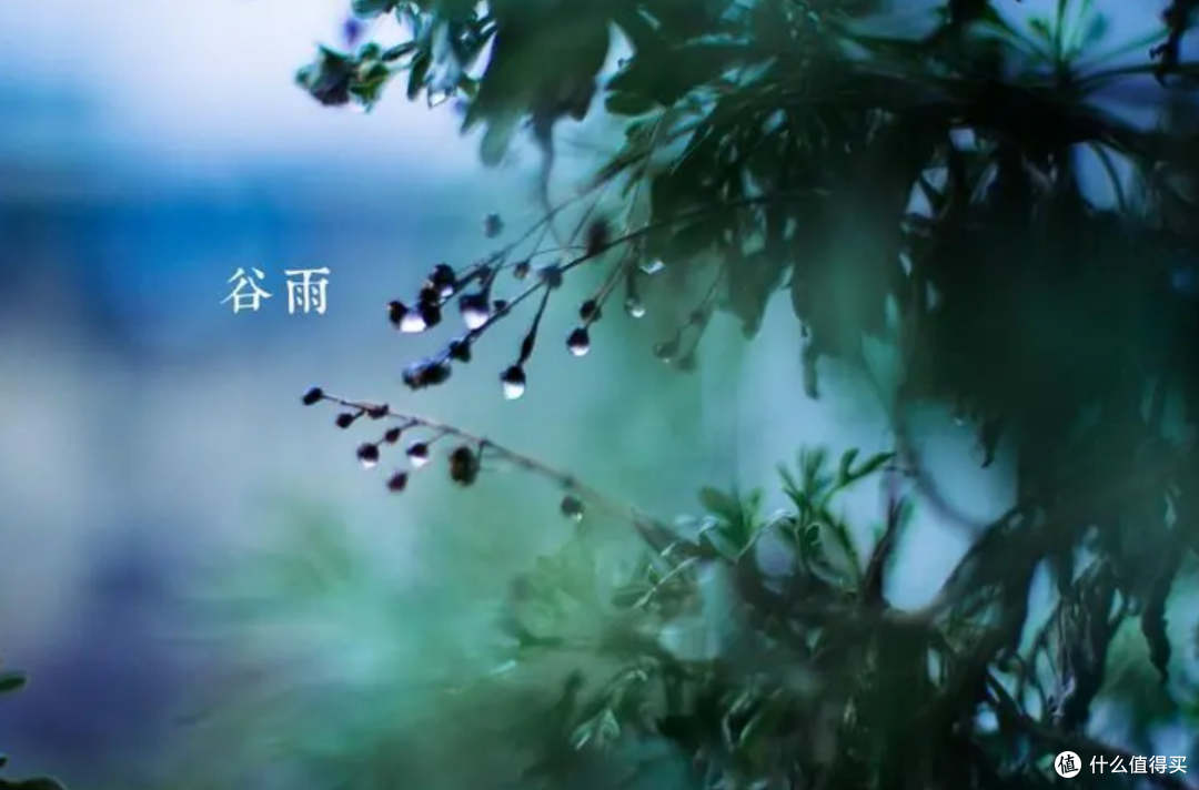 谷雨时节，提醒中年老年人，建议“食2物忌3酒”，顺应时节保安康