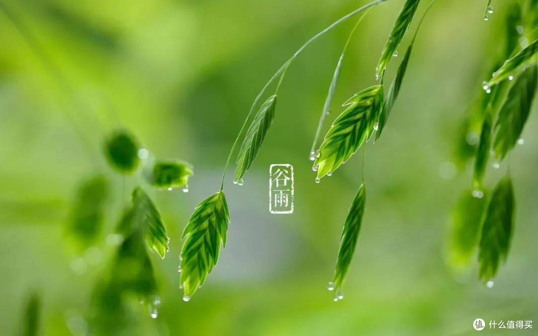 谷雨过后,养生应该注意哪些?做好这几点~