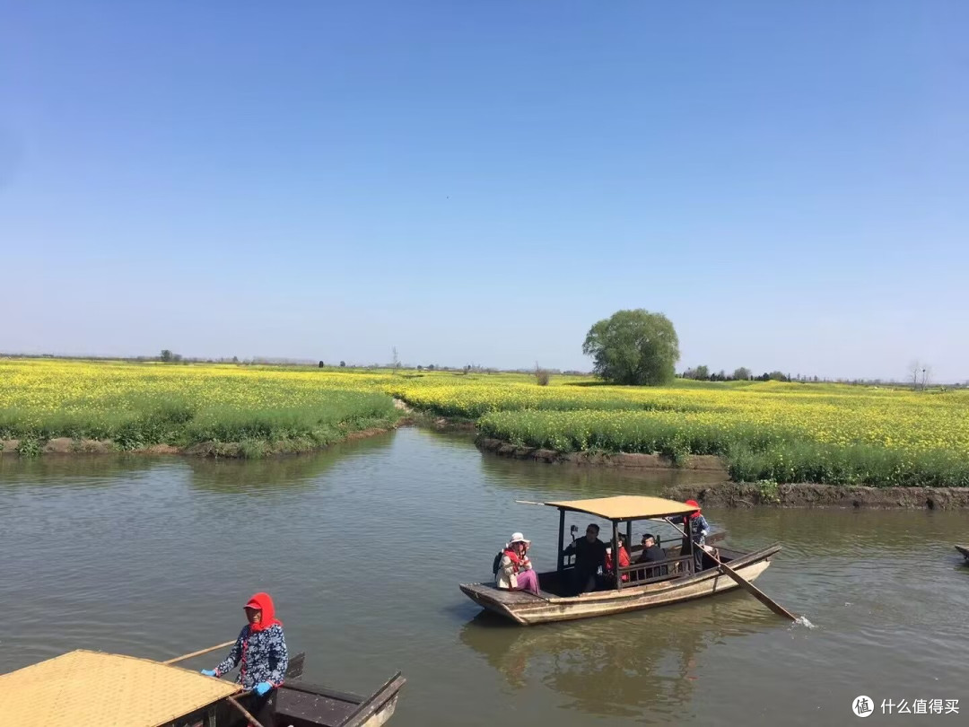 春游出行去赏油菜花,景色非常的治愈