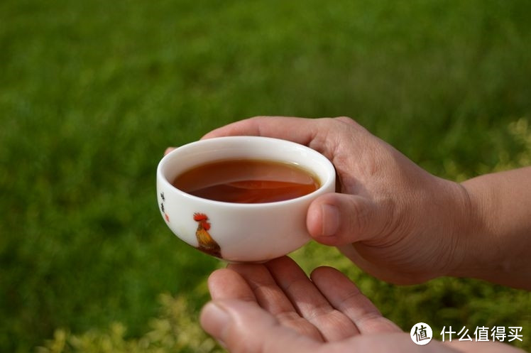 豪香浓郁，韵味持久：2020年蒲门茶业大金针滇红茶80克评测报告