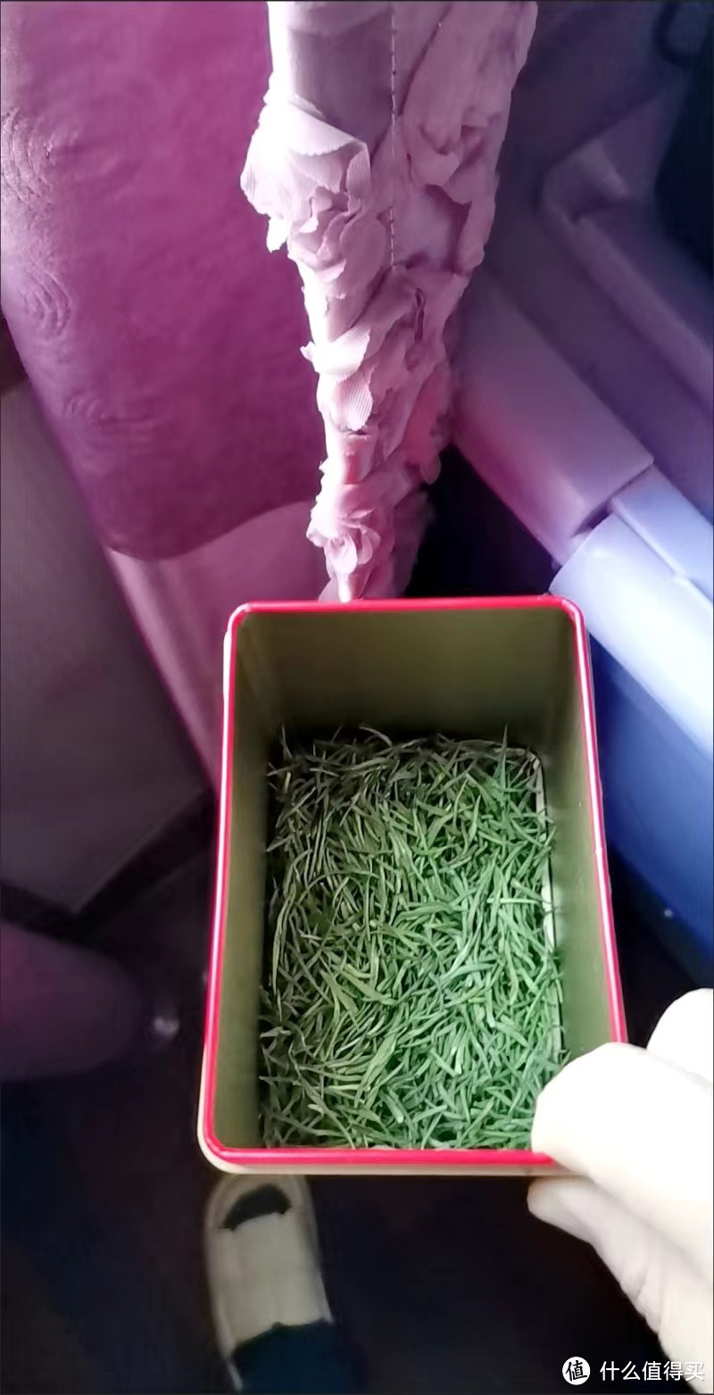 雀舌特级绿茶高山云雾茶 