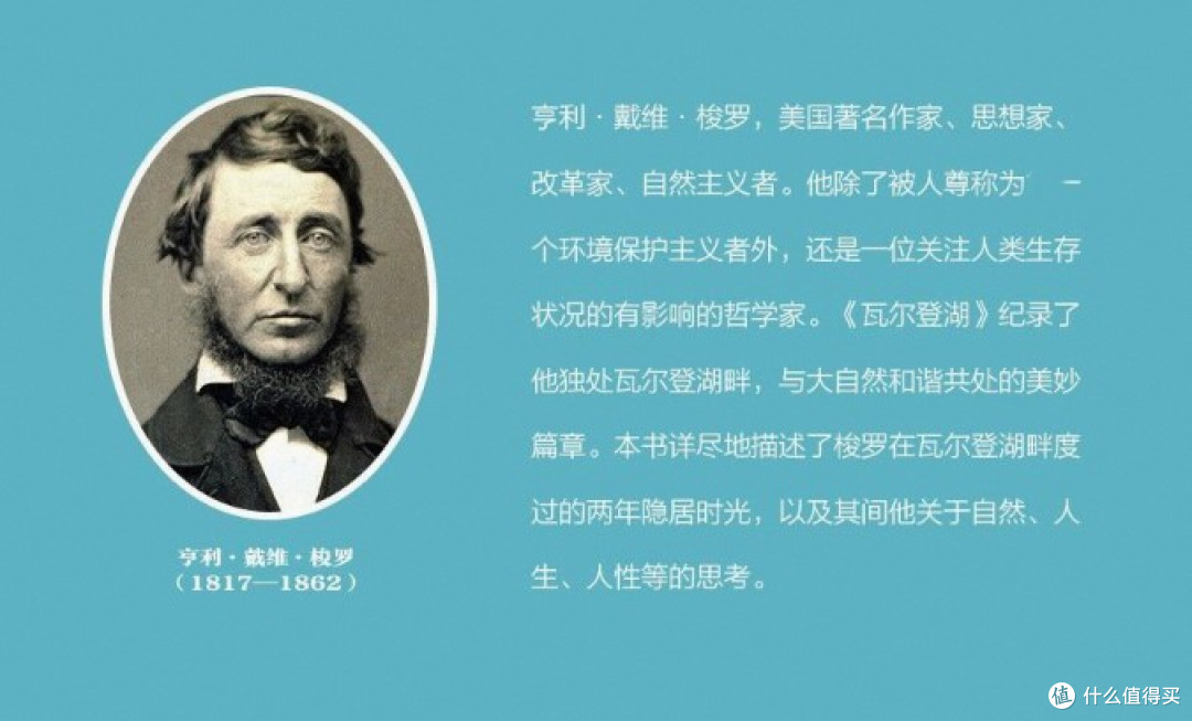 作者简介