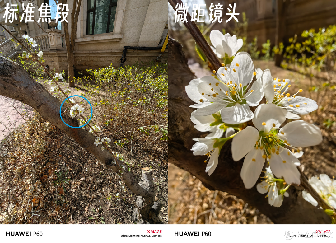 可变光圈加持,不负影像旗舰之名——华为最新手机P60深度评测